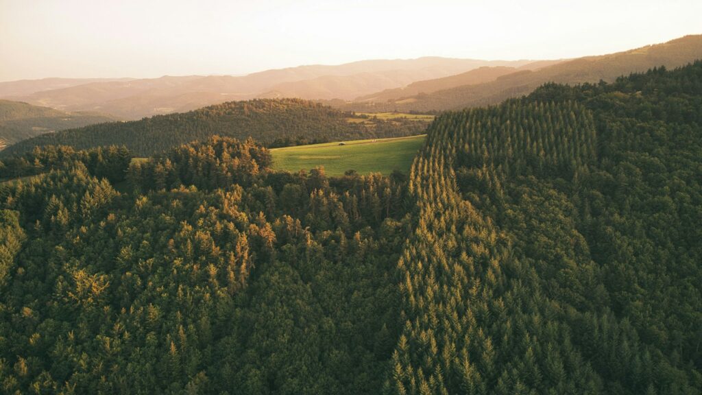 Forêts et plateaux, paysage pour un vidéaste en Haute-Loire