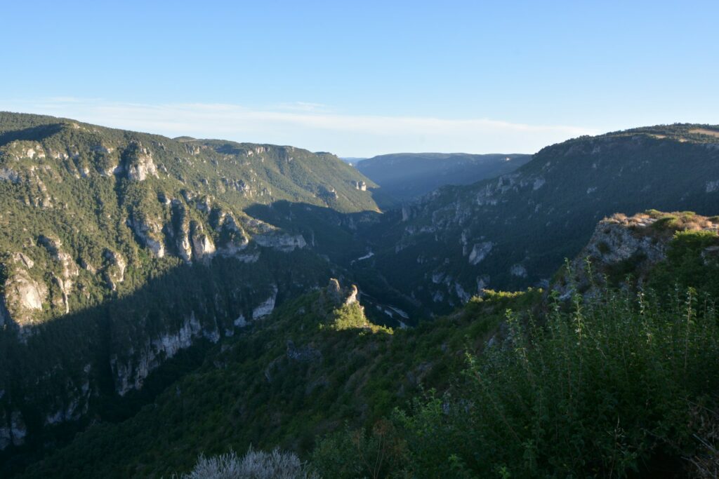 Vallée boisée, paysage pour un vidéaste à Ambert